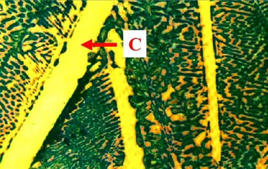 Ảnh tổ chức tế vi Xementit